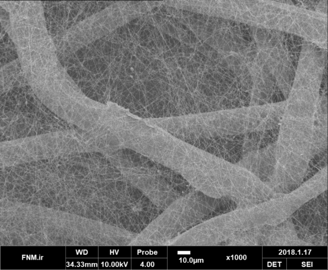 Nanofiber
